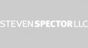 Steve Spector Llc: Spector Steven