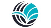 Bauer Willis & Associates - Theresa A Willis